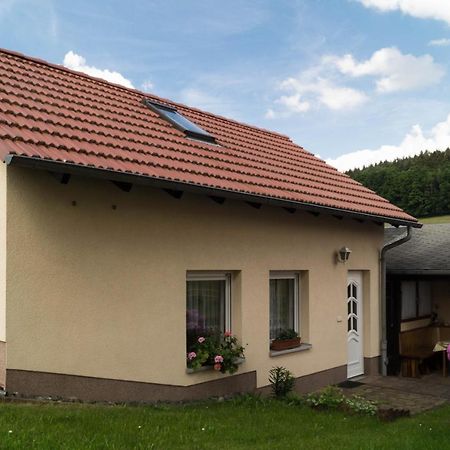 Ferienhaus Fischer Gohrisch Bagian luar foto