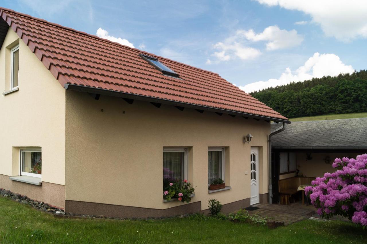 Ferienhaus Fischer Gohrisch Bagian luar foto