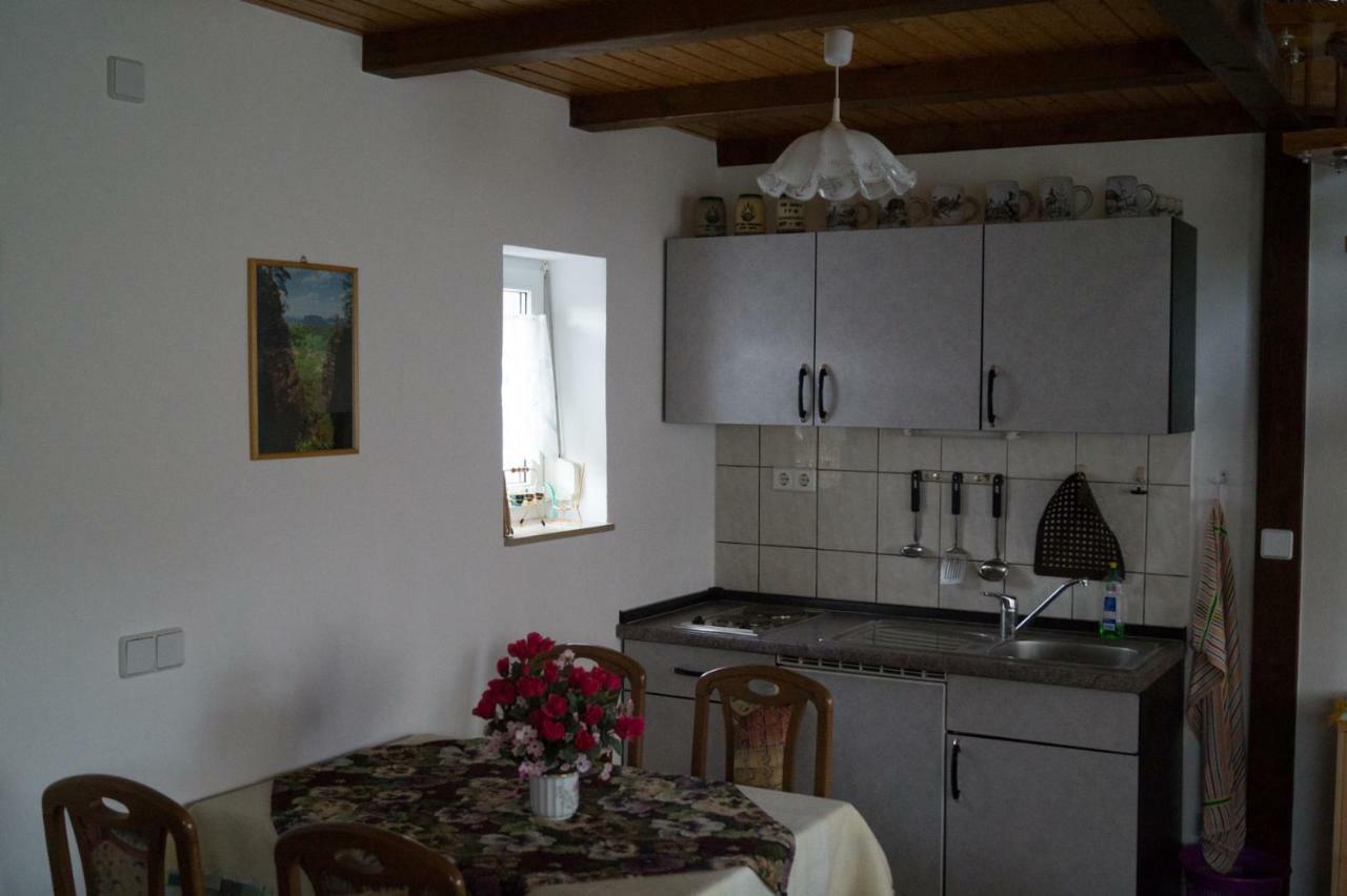 Ferienhaus Fischer Gohrisch Bagian luar foto