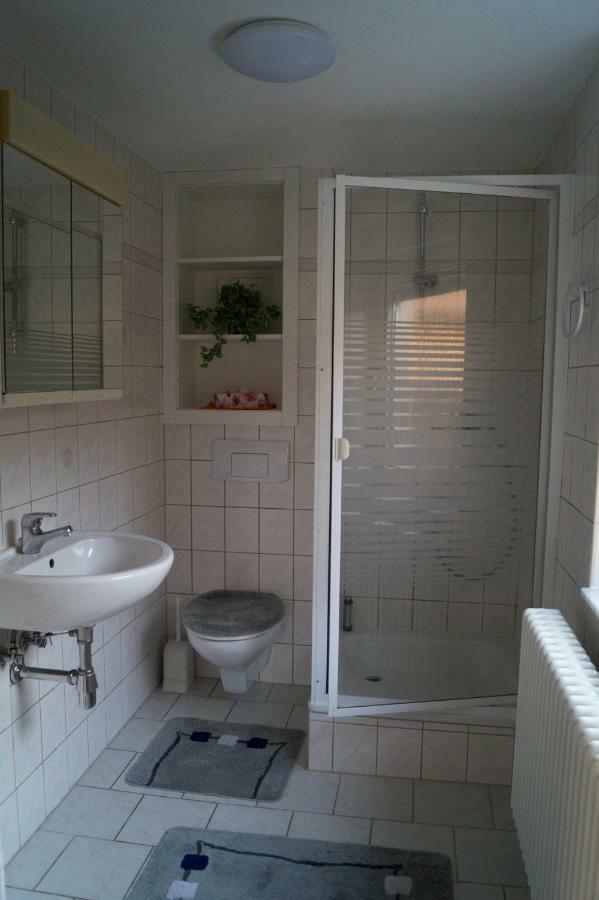 Ferienhaus Fischer Gohrisch Bagian luar foto